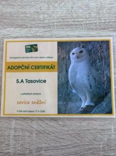 Adopce sovy