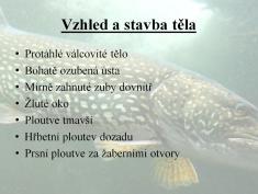 Luboš Dufek - Lov sladkovodních ryb