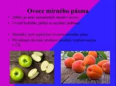 Marek Kasal - Ovoce a&nbsp;zelenina